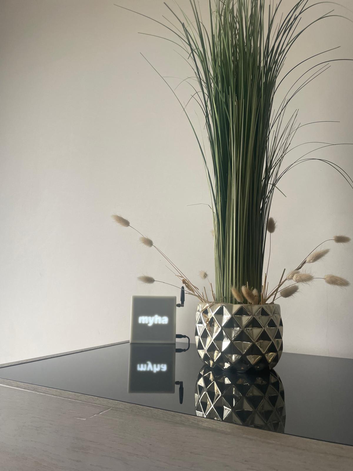 Avis et photo client pour Myha Radio de Domethic System